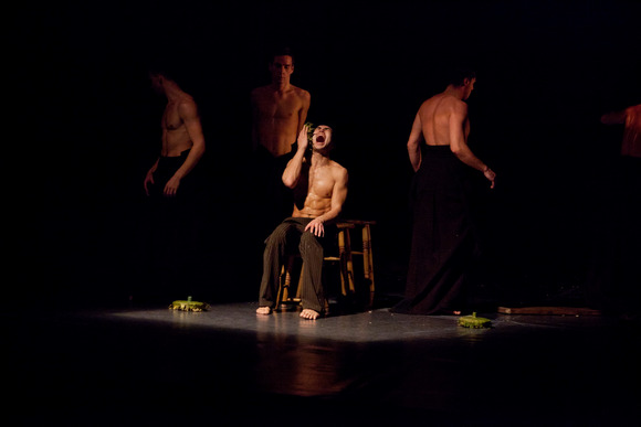 ����� Feeder